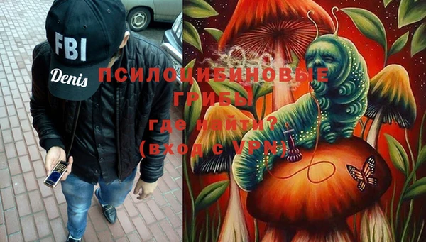 хмурый Нефтекумск