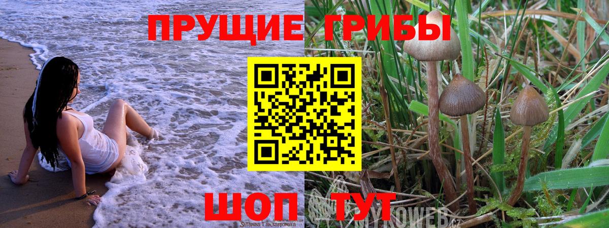 Урус-Мартан  Галлюциногенные грибы ЛСД  Вход с VPN 
